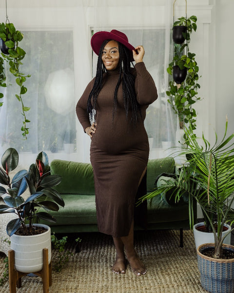 Camille Turtleneck Sweater Dress